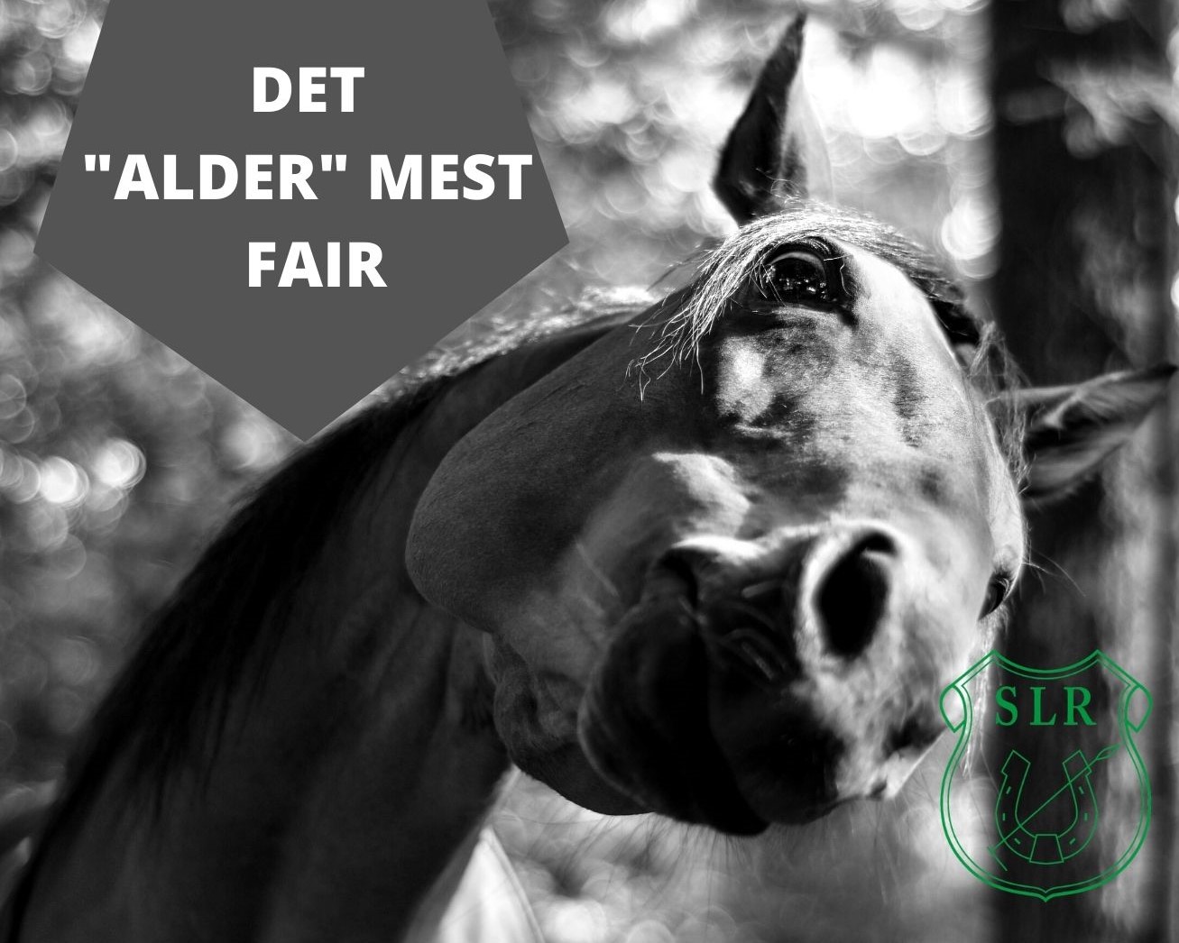 DET ALDER MEST FAIR