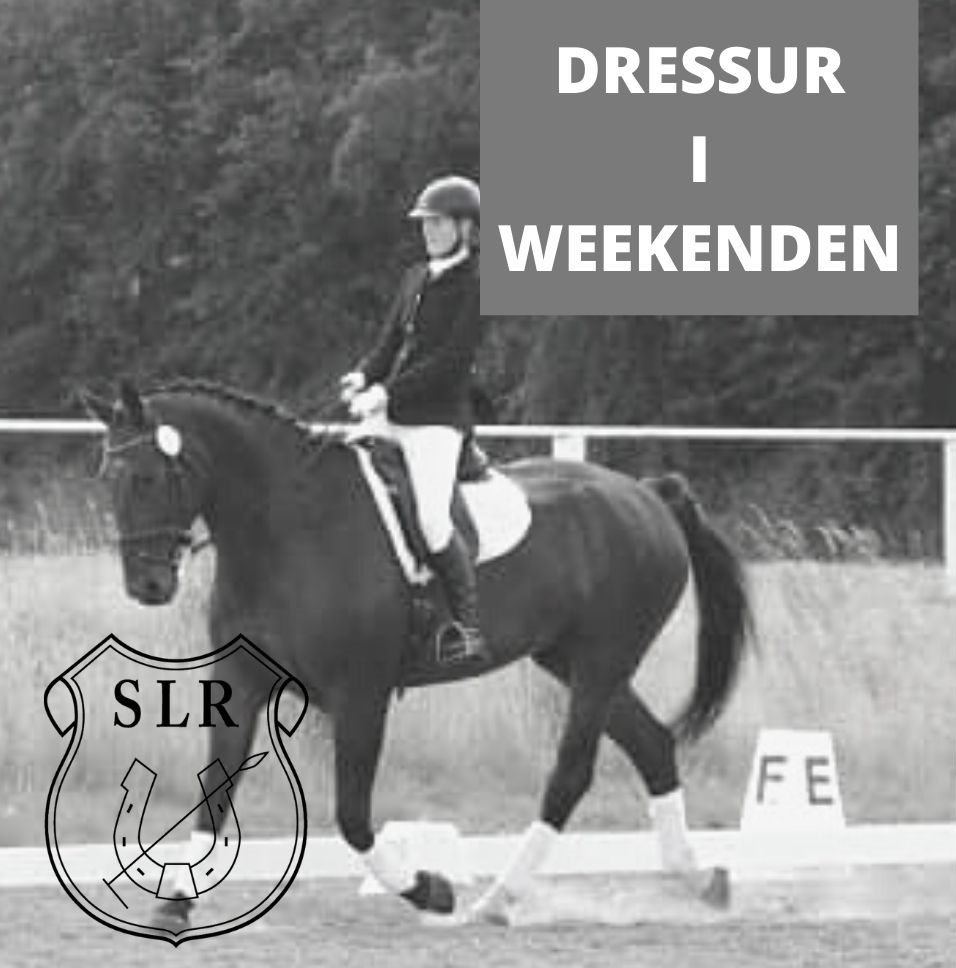 DRESSUR I WEEKENDEN