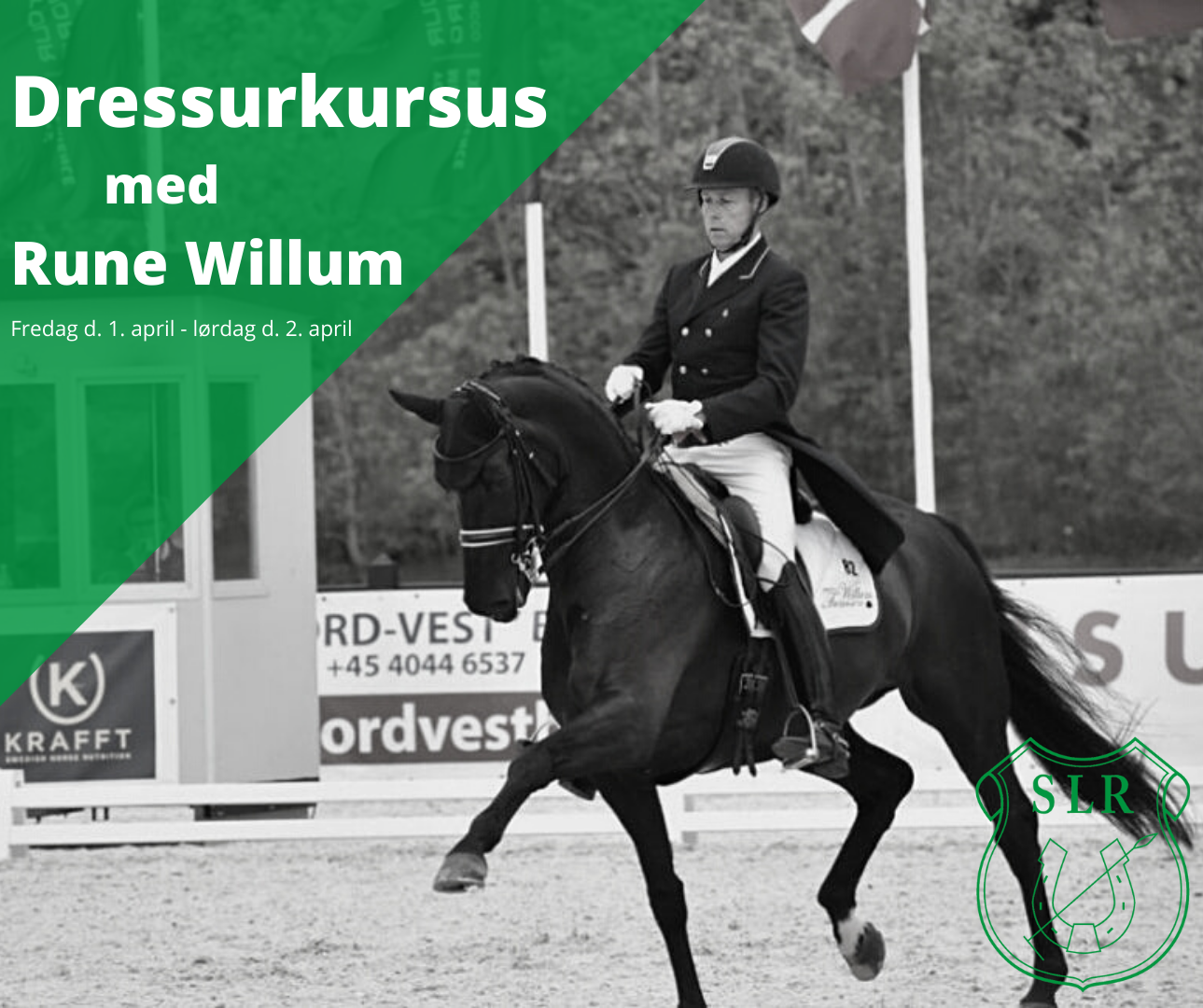 Dressurkursus med Rune Willum