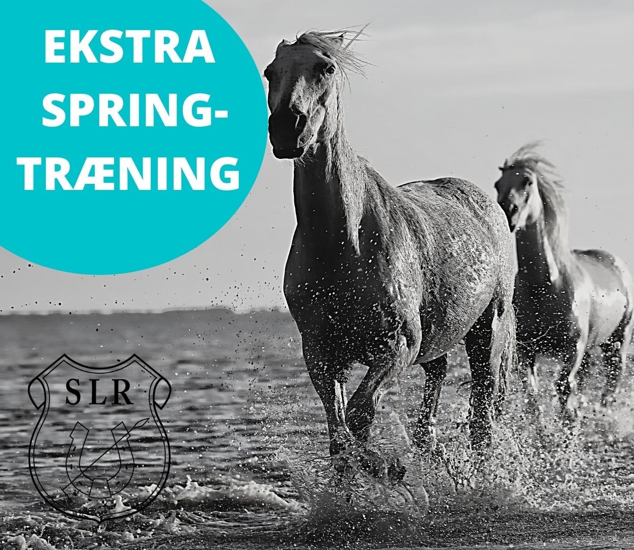 EKSTRA SPRING TRÆNING 1