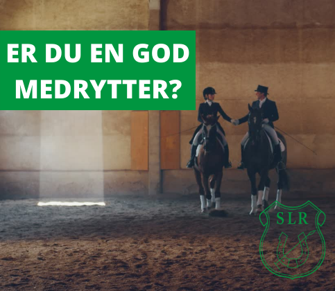 ER DU EN GOD MEDRYTTER