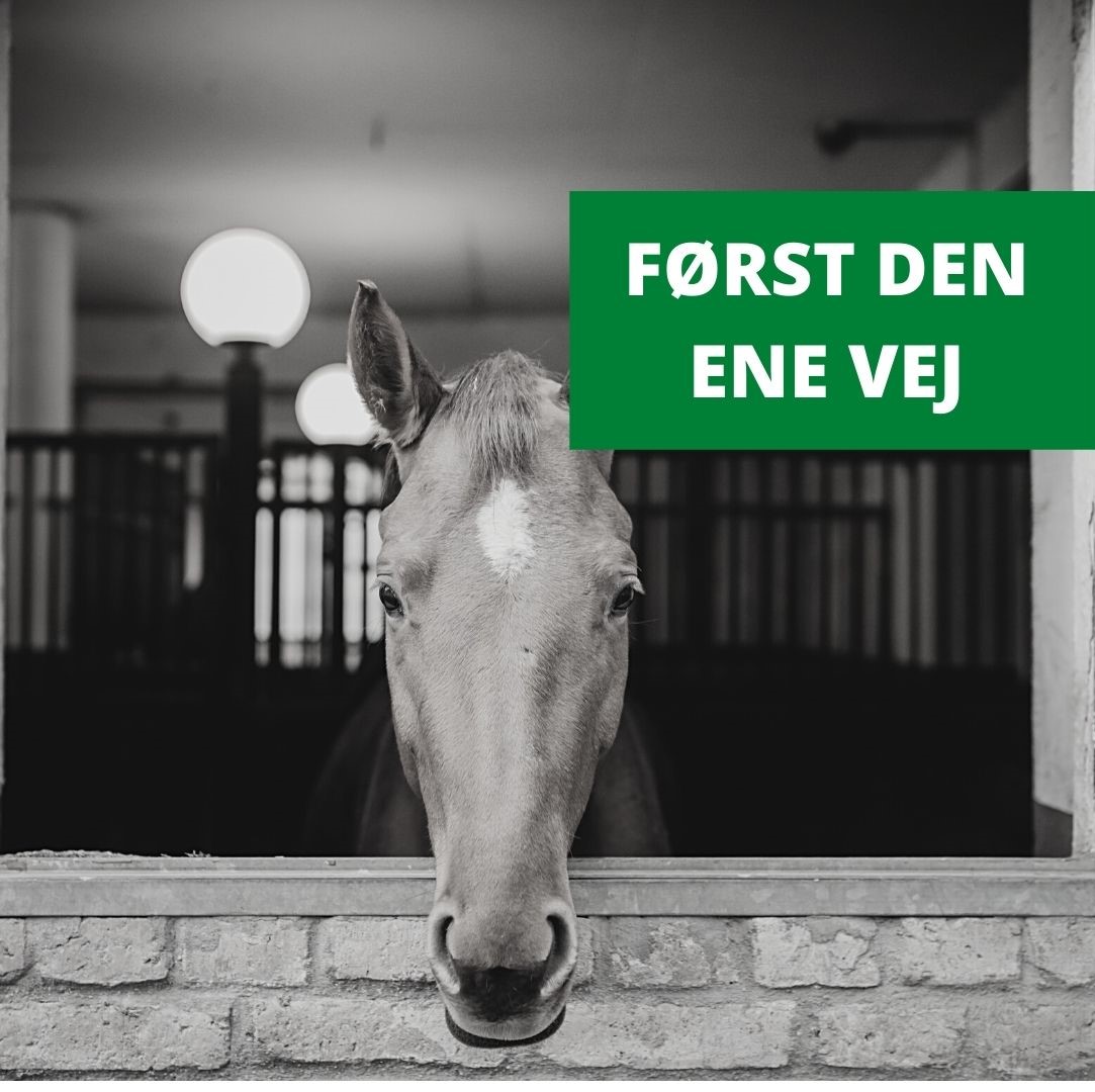 FØRST DEN ENE VEJ