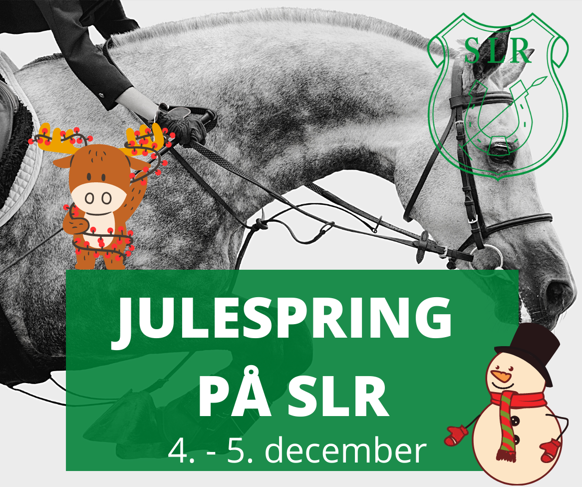 JULESPRING PÅ SLR