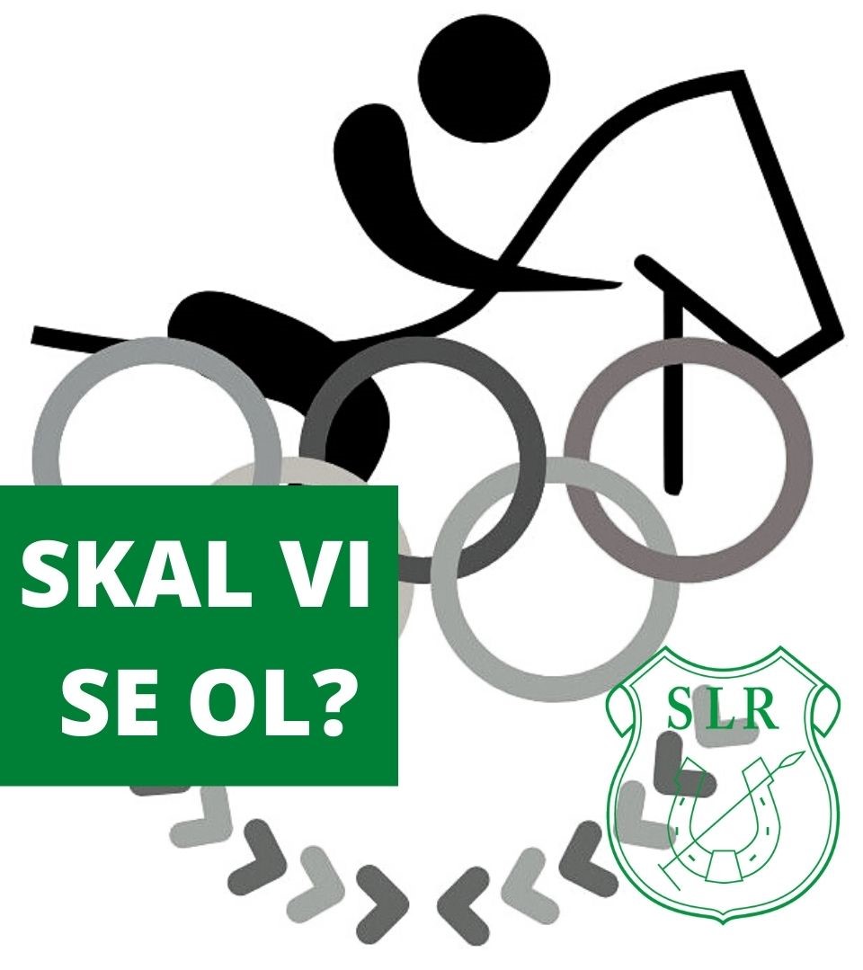 SKAL DU SE OL FOR HEST 1