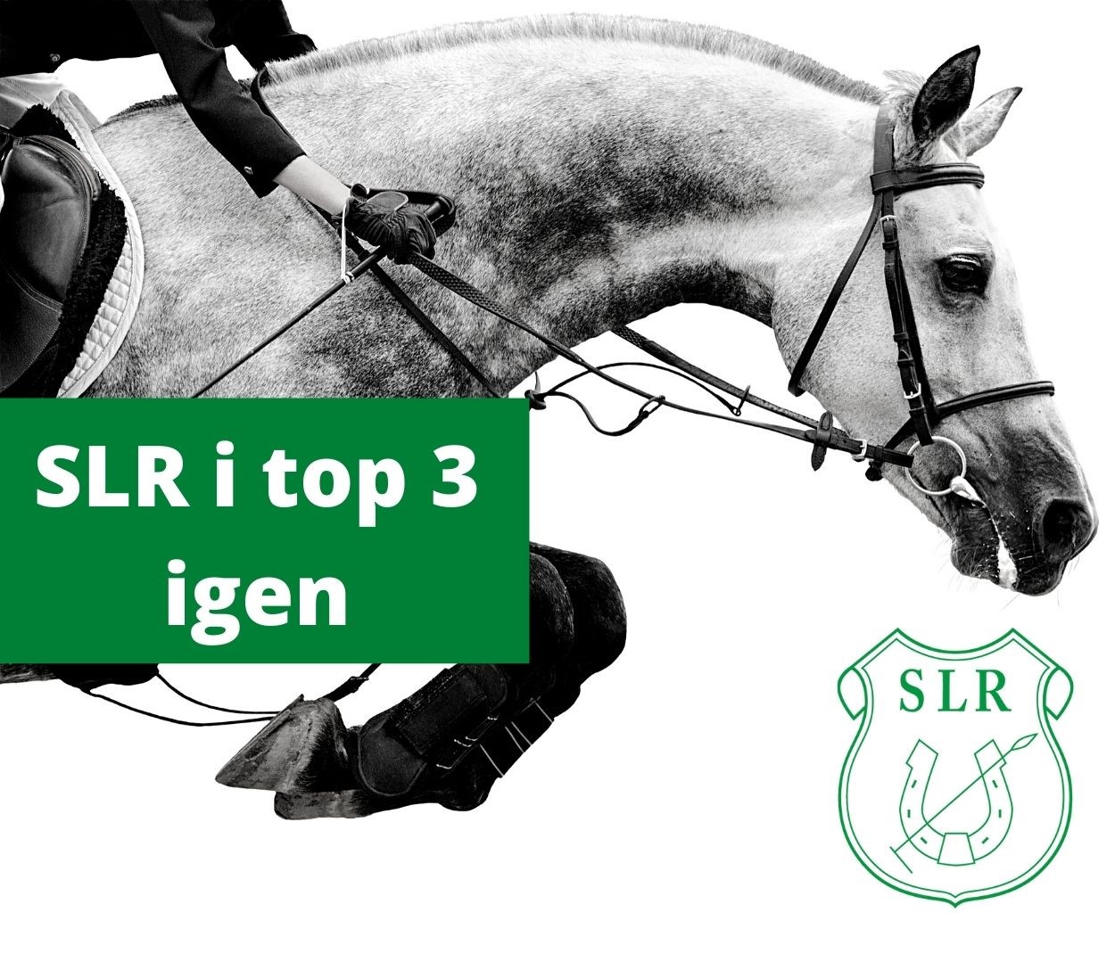 SLR i TOP 3 igen