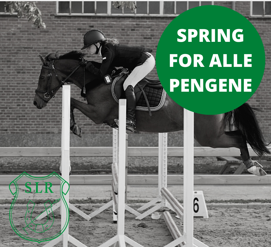 SPRING FOR ALLE PENGENE 2