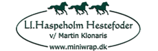 lillehaspeholm logo 230x75