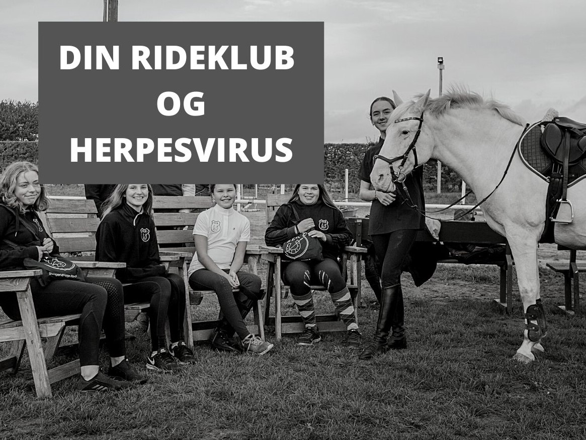 SÅDAN FORHOLDER DIN RIDEKLUB SIG TIL HERPEESVIRUS