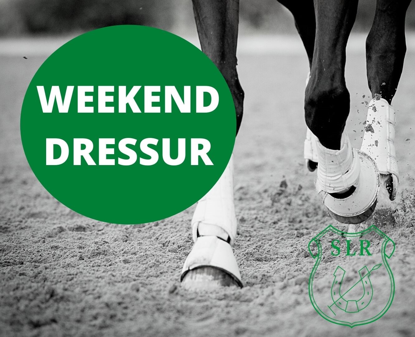 WEEKEND DRESSUR