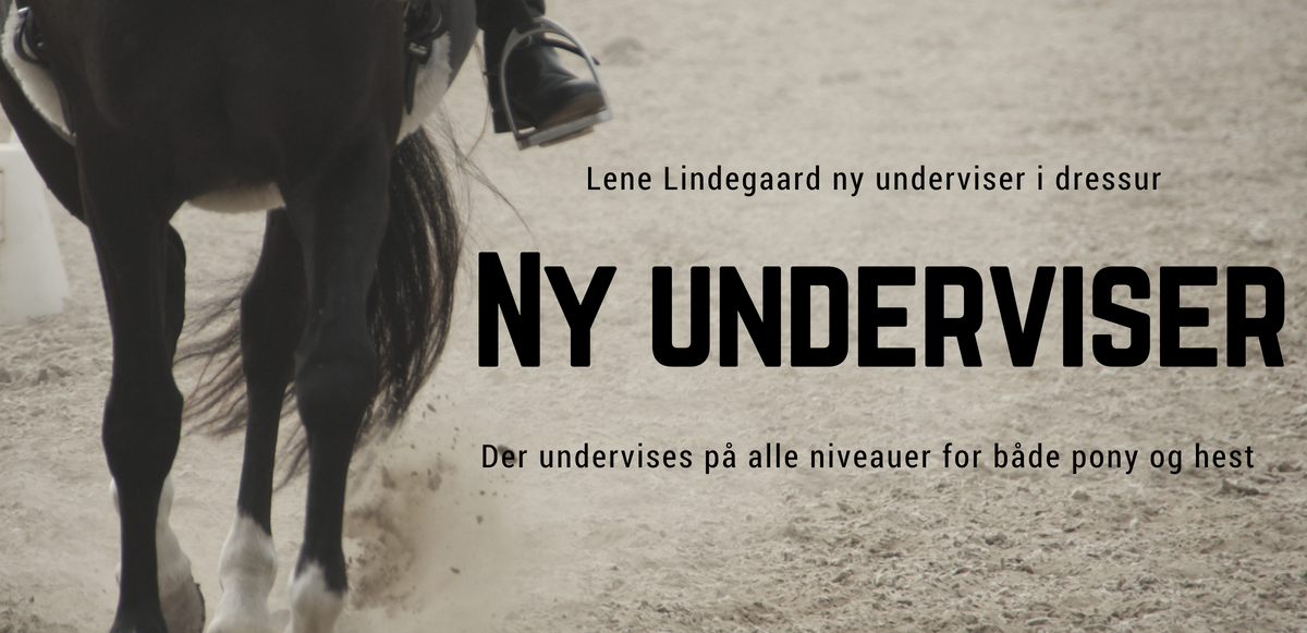 Ny underviser1