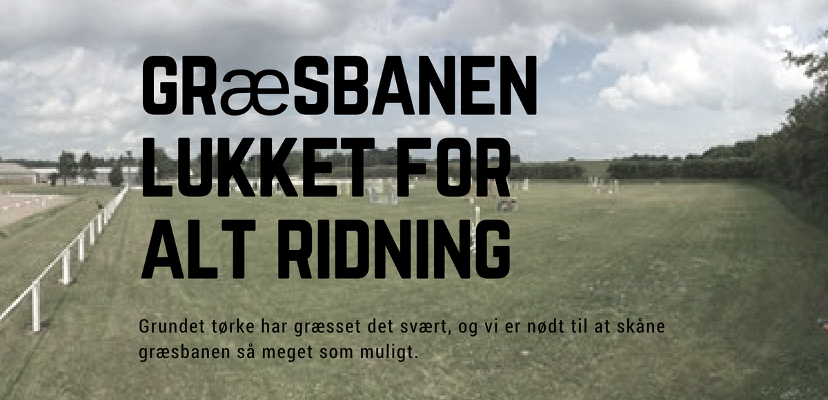 græsbanen lukket pga tørke2