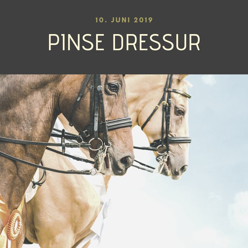 Pinse dressur