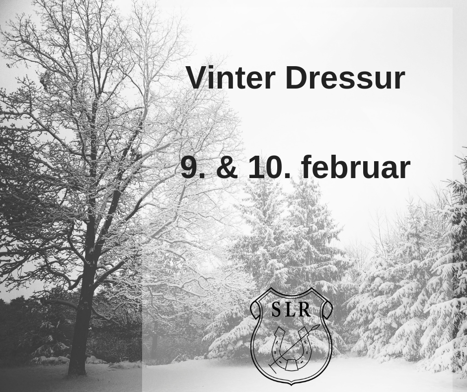 Vinter Dressur