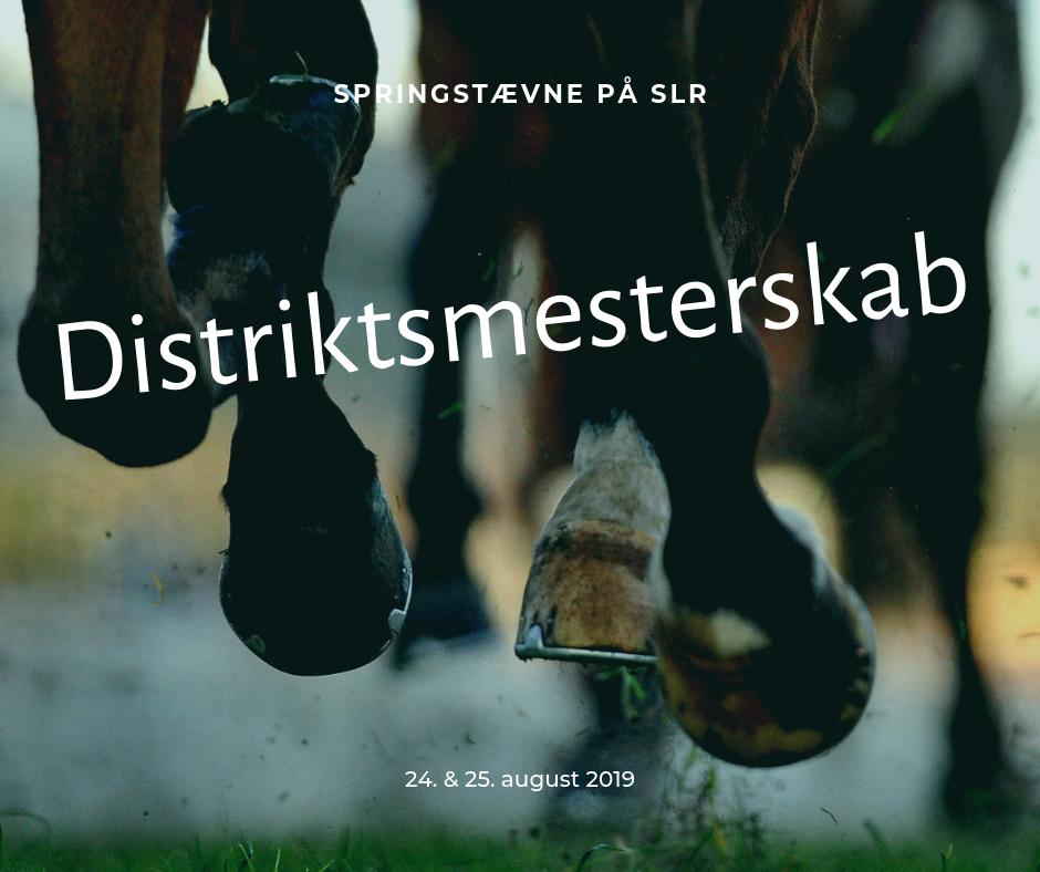 distriktsmesterskab for ponyhold og individuelt for heste