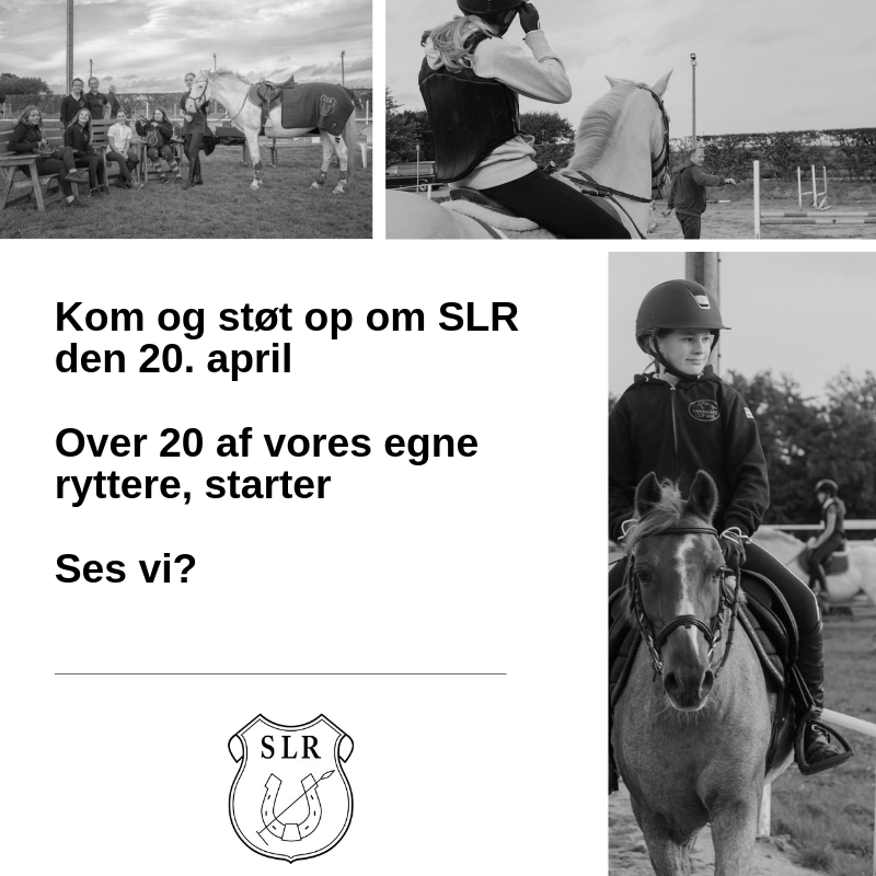 hjælp til pony spring 1