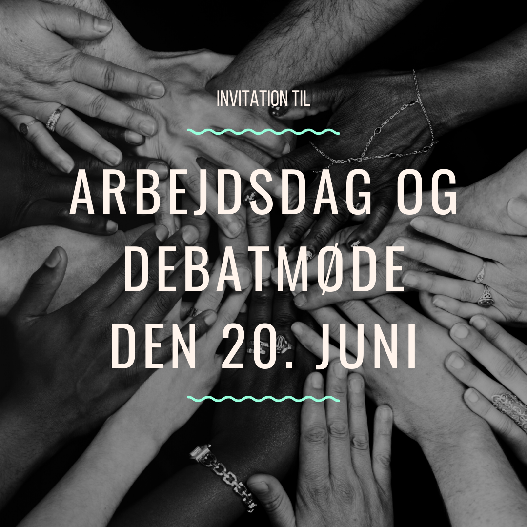 Arbejdsdag og debatmøde den 20. juni