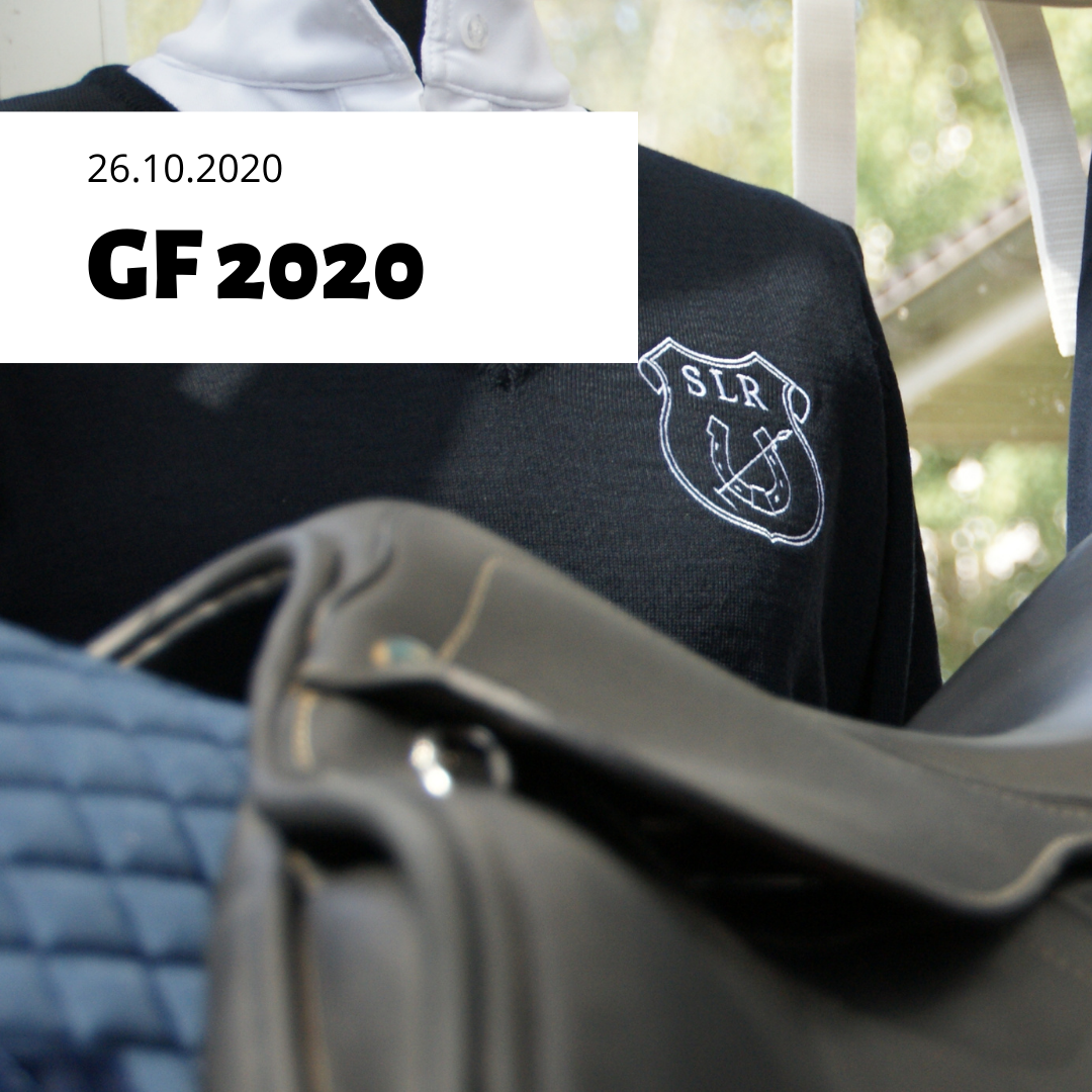 GF 2020 1