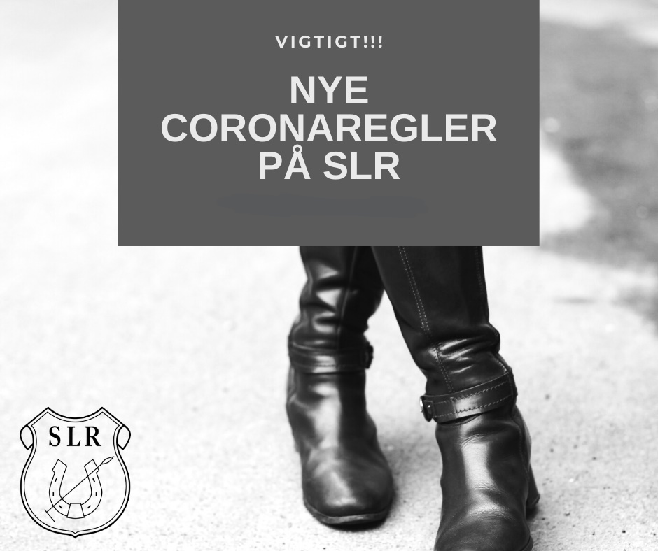 InkedCoronaregler 7. dec LI