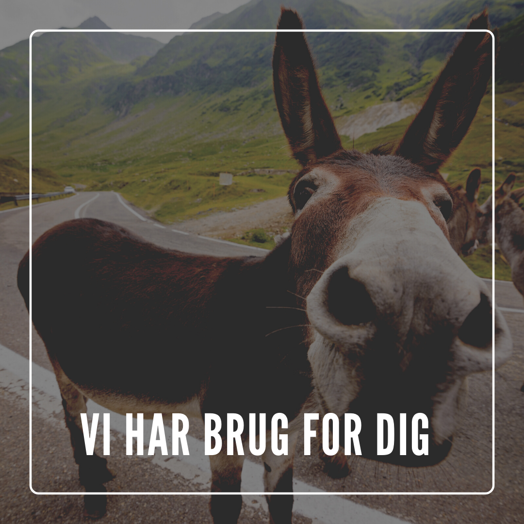 Vi har brug for dig