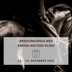 Dressurkursus med Karina watson Olsen