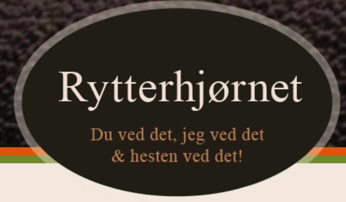 Rytterhjørnet